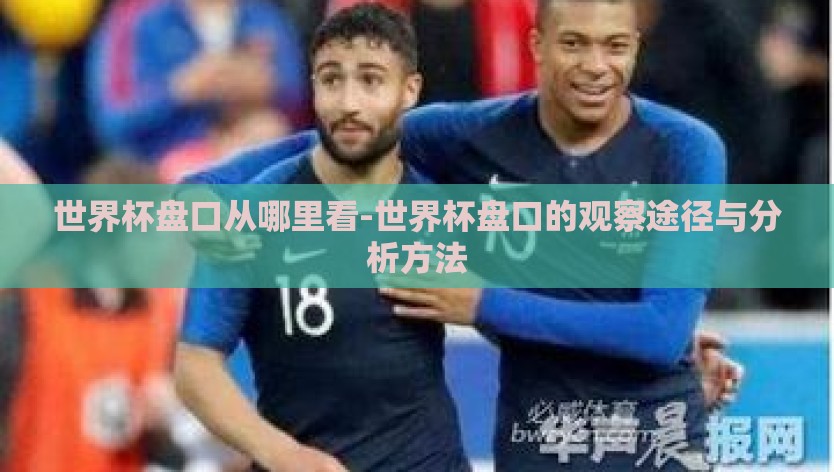 世界杯盘口从哪里看-世界杯盘口的观察途径与分析方法