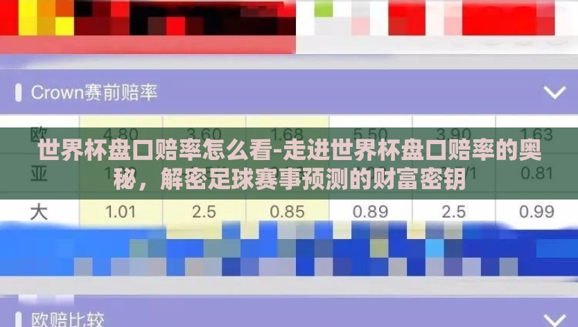 世界杯盘口赔率怎么看-走进世界杯盘口赔率的奥秘，解密足球赛事预测的财富密钥