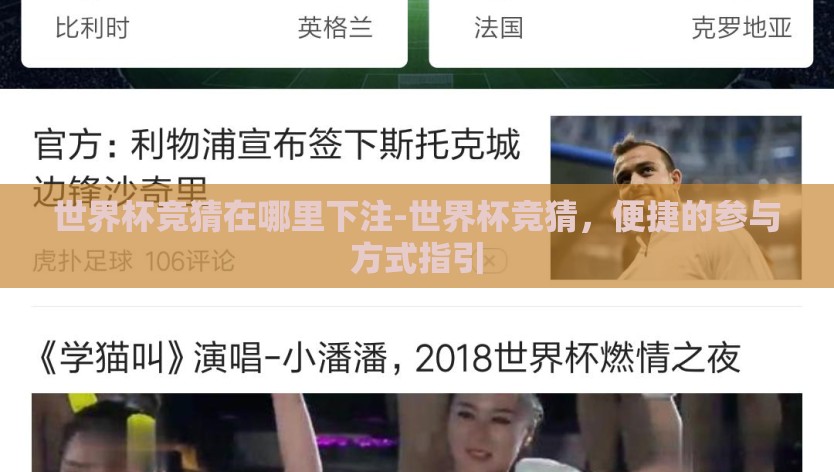世界杯竞猜在哪里下注-世界杯竞猜，便捷的参与方式指引