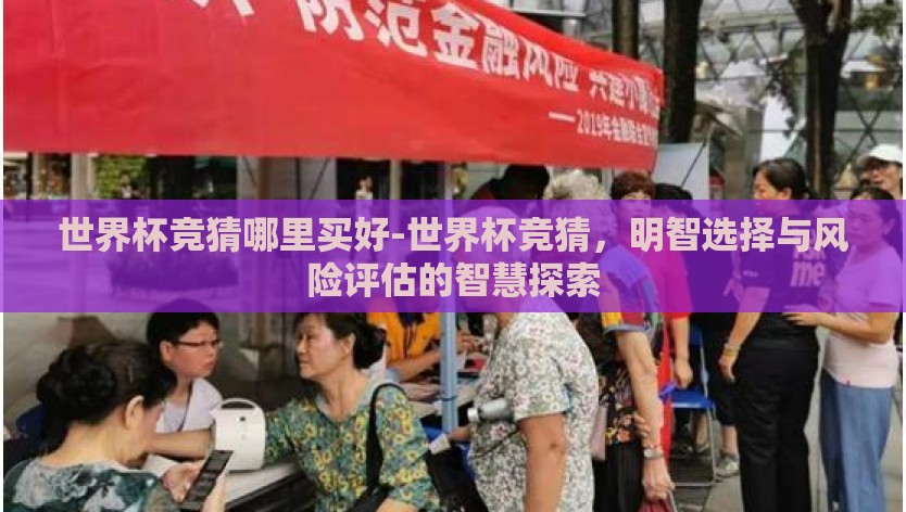 世界杯竞猜哪里买好-世界杯竞猜，明智选择与风险评估的智慧探索