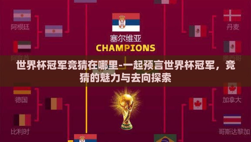 世界杯冠军竞猜在哪里-一起预言世界杯冠军，竞猜的魅力与去向探索