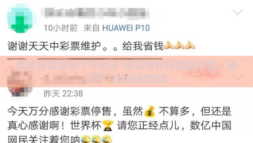 世界杯竞猜哪个平台好-细究世界杯竞猜平台，选对平台赢在起跑线
