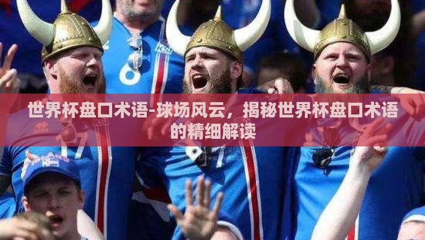 世界杯盘口术语-球场风云，揭秘世界杯盘口术语的精细解读
