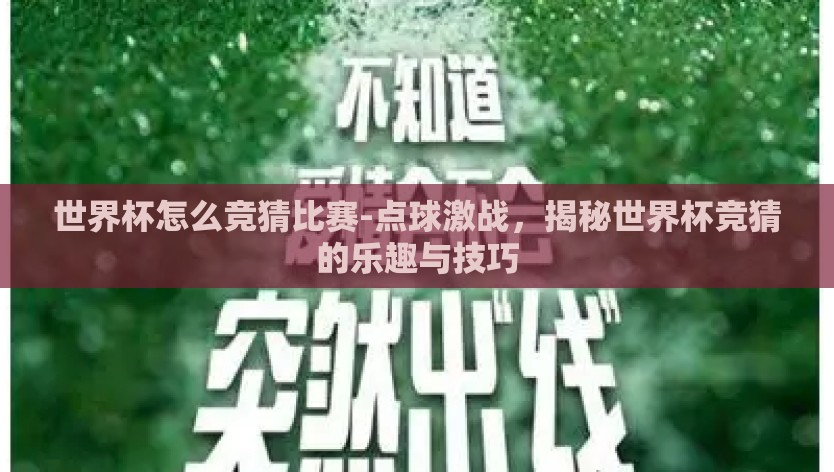 世界杯怎么竞猜比赛-点球激战，揭秘世界杯竞猜的乐趣与技巧