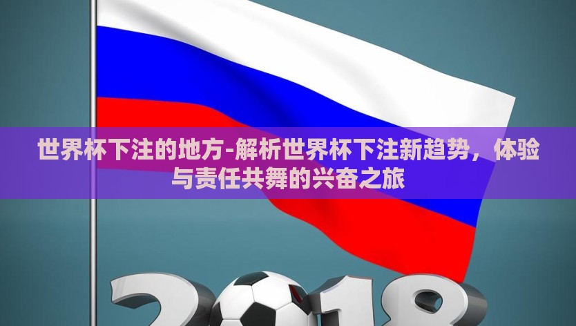 世界杯下注的地方-解析世界杯下注新趋势，体验与责任共舞的兴奋之旅