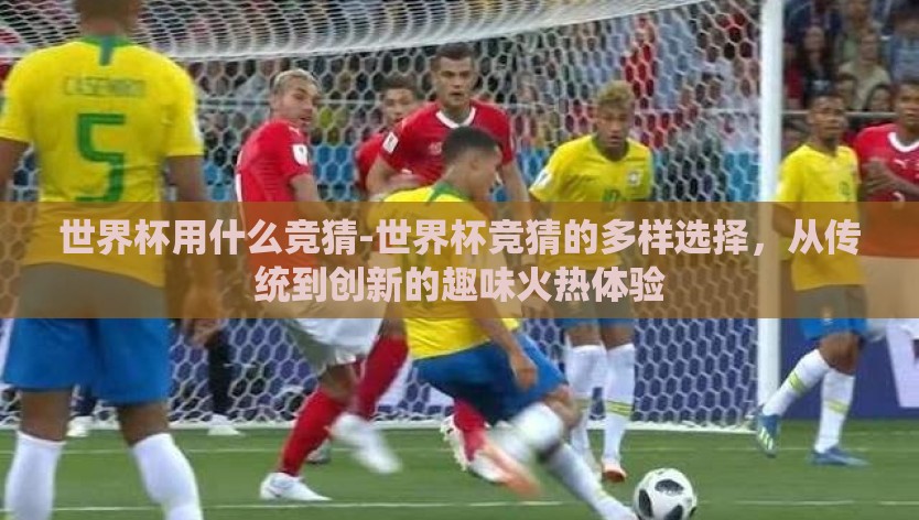 世界杯用什么竞猜-世界杯竞猜的多样选择，从传统到创新的趣味火热体验