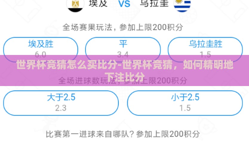 世界杯竞猜怎么买比分-世界杯竞猜，如何精明地下注比分