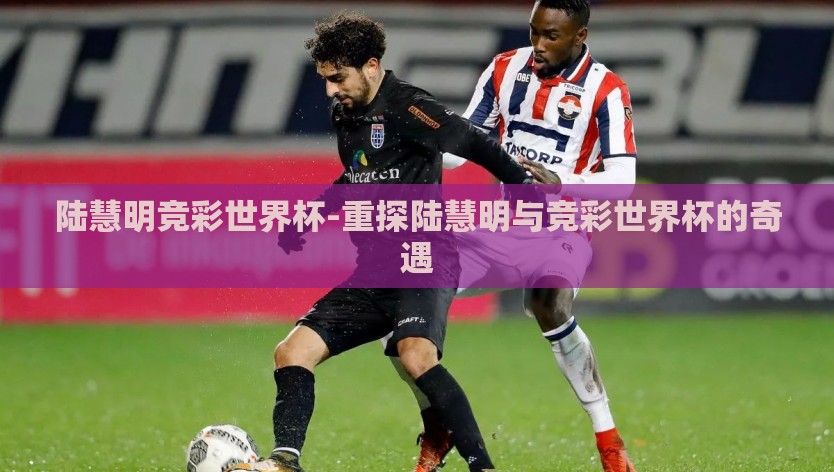 陆慧明竞彩世界杯-重探陆慧明与竞彩世界杯的奇遇