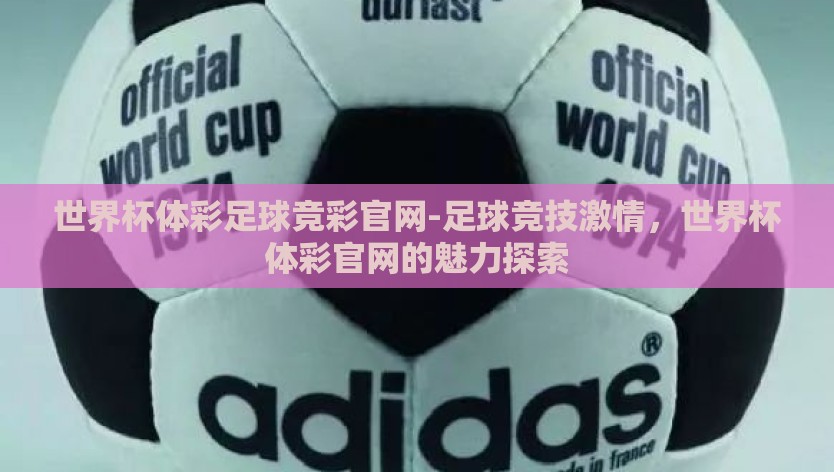 世界杯体彩足球竞彩官网-足球竞技激情，世界杯体彩官网的魅力探索