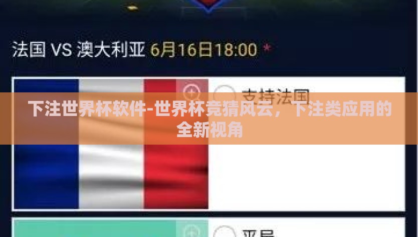 下注世界杯软件-世界杯竞猜风云，下注类应用的全新视角