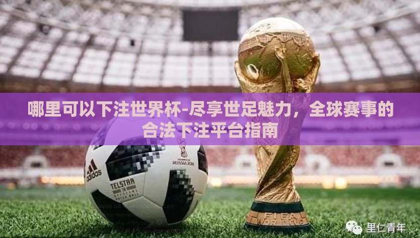 哪里可以下注世界杯-尽享世足魅力，全球赛事的合法下注平台指南