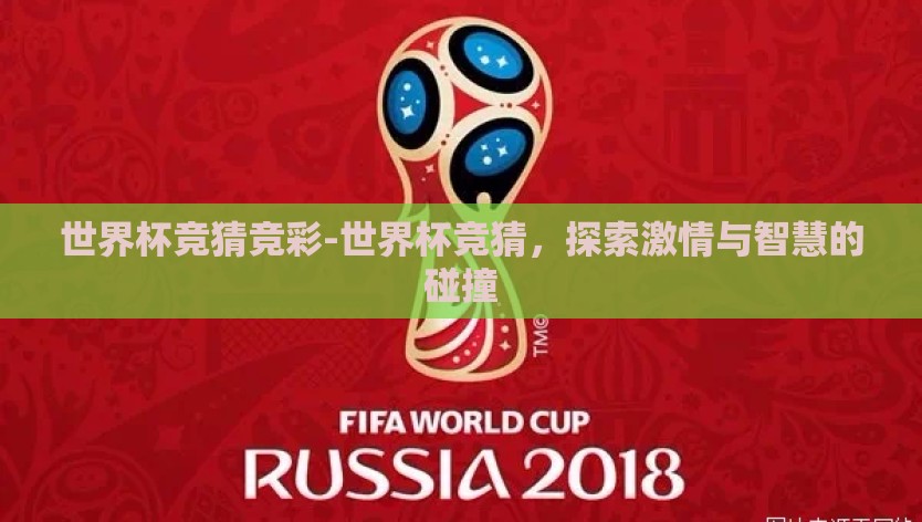 星空体育官方app下载-拥抱星空的精彩——星空体育官方app下载的全面指南