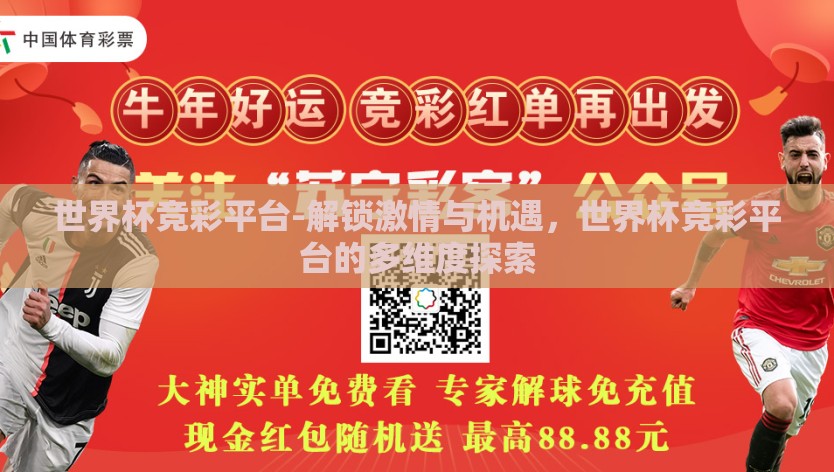 世界杯竞彩平台-解锁激情与机遇，世界杯竞彩平台的多维度探索