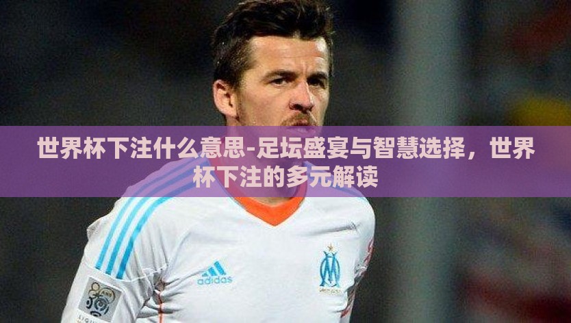 世界杯下注什么意思-足坛盛宴与智慧选择，世界杯下注的多元解读