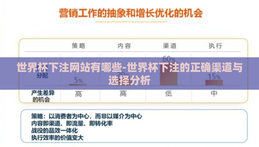 世界杯下注网站有哪些-世界杯下注的正确渠道与选择分析