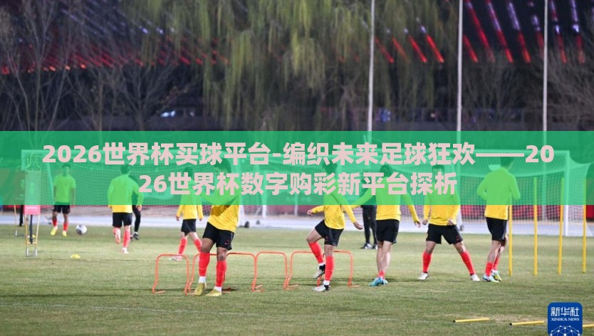 2026世界杯买球平台-编织未来足球狂欢——2026世界杯数字购彩新平台探析 2026世界杯买球平台-编织未来足球狂欢——2026世界杯数字购彩新平台探析