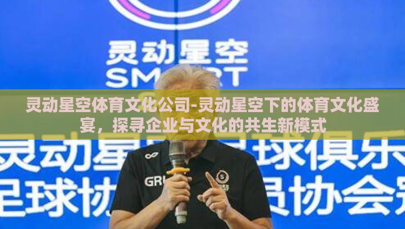 灵动星空体育文化公司-灵动星空下的体育文化盛宴，探寻企业与文化的共生新模式