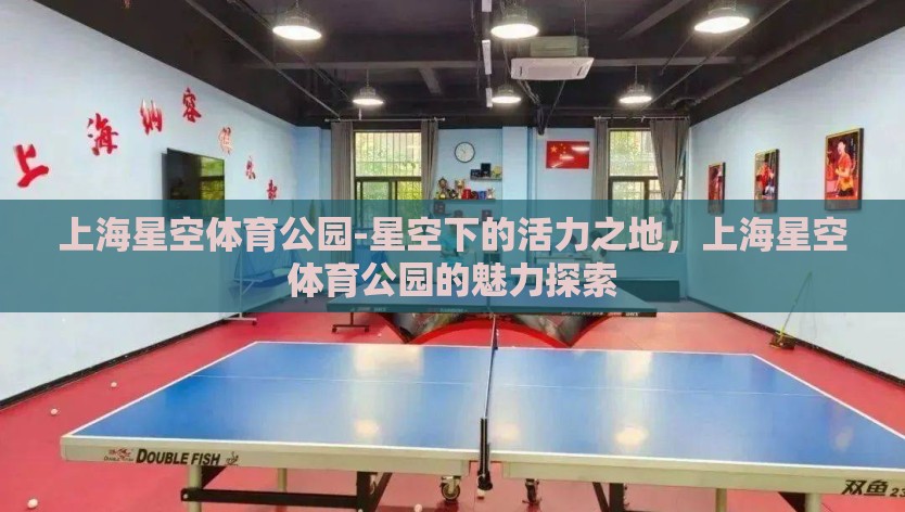 上海星空体育公园-星空下的活力之地，上海星空体育公园的魅力探索