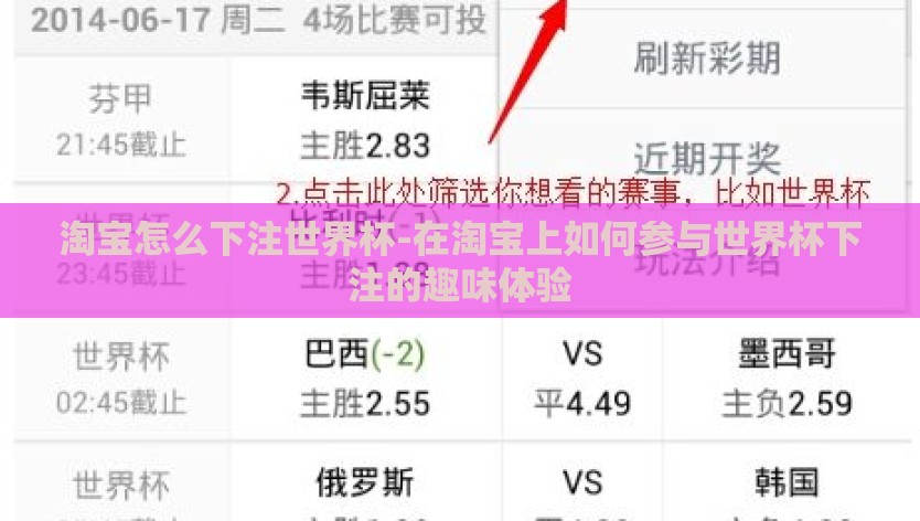 淘宝怎么下注世界杯-在淘宝上如何参与世界杯下注的趣味体验