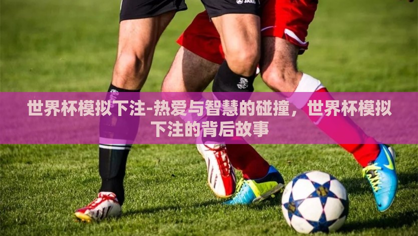 世界杯模拟下注-热爱与智慧的碰撞，世界杯模拟下注的背后故事