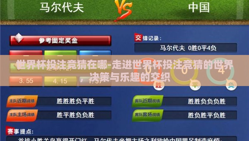 世界杯投注竞猜在哪-走进世界杯投注竞猜的世界，决策与乐趣的交织
