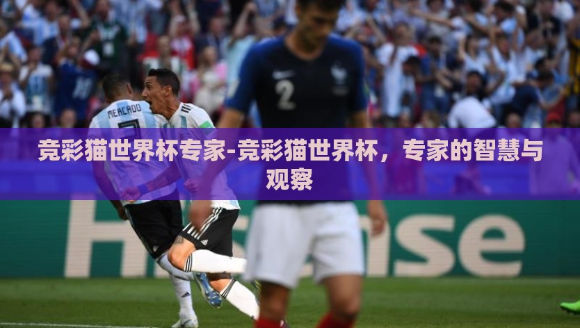 竞彩猫世界杯专家-竞彩猫世界杯,专家的智慧与观察 竞彩猫世界杯专家-竞彩猫世界杯,专家的智慧与观察