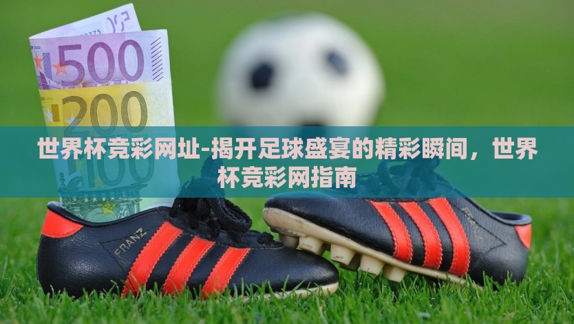 世界杯竞彩网址-揭开足球盛宴的精彩瞬间，世界杯竞彩网指南