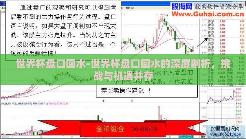世界杯盘口回水-世界杯盘口回水的深度剖析，挑战与机遇并存