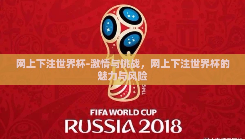 网上下注世界杯-激情与挑战，网上下注世界杯的魅力与风险
