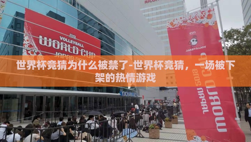 世界杯竞猜为什么被禁了-世界杯竞猜，一场被下架的热情游戏