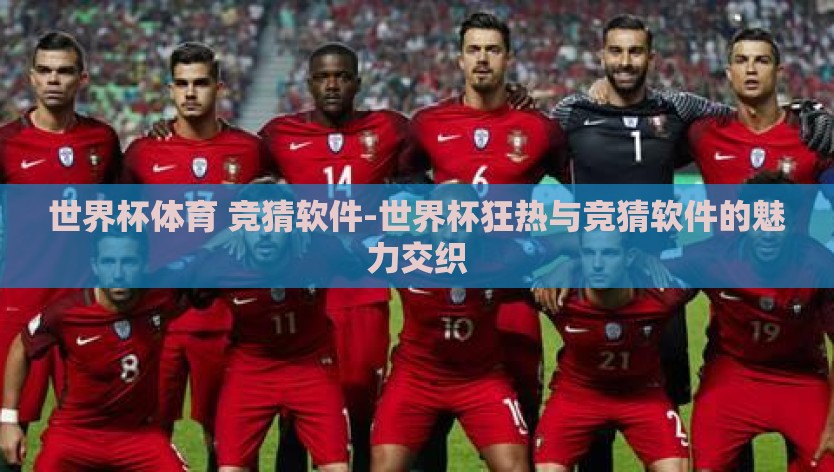 世界杯体育 竞猜软件-世界杯狂热与竞猜软件的魅力交织