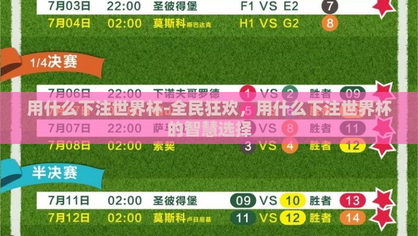 用什么下注世界杯-全民狂欢,用什么下注世界杯的智慧选择 用什么下注世界杯-全民狂欢,用什么下注世界杯的智慧选择