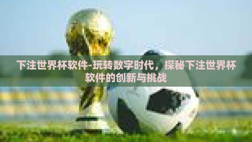 下注世界杯软件-玩转数字时代，探秘下注世界杯软件的创新与挑战