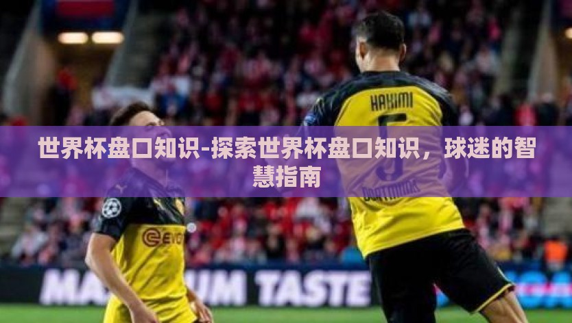 世界杯盘口知识-探索世界杯盘口知识，球迷的智慧指南