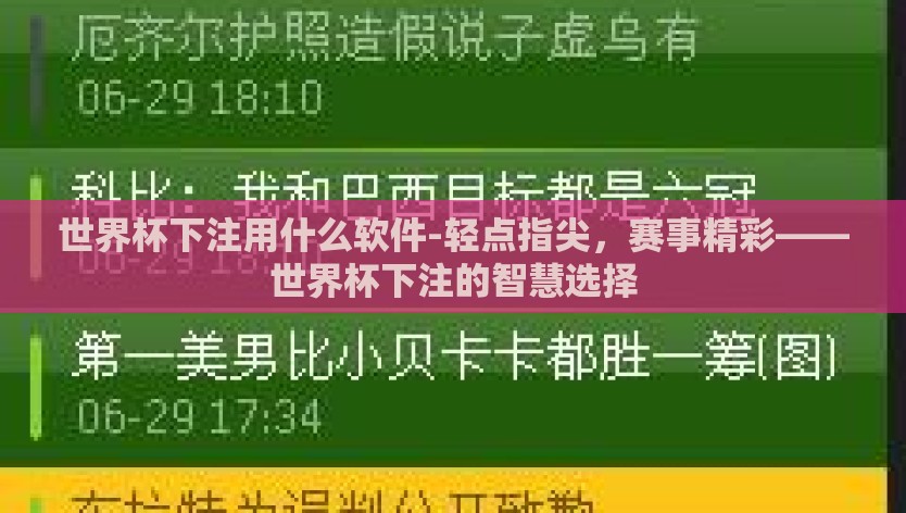 世界杯下注用什么软件-轻点指尖，赛事精彩——世界杯下注的智慧选择