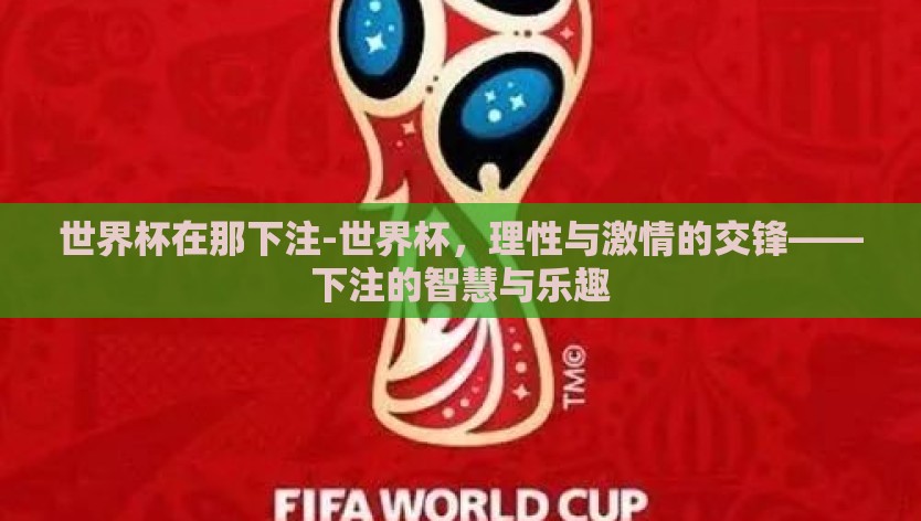 世界杯在那下注-世界杯，理性与激情的交锋——下注的智慧与乐趣