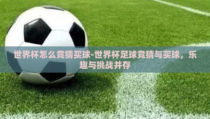 世界杯怎么竞猜买球-世界杯足球竞猜与买球，乐趣与挑战并存