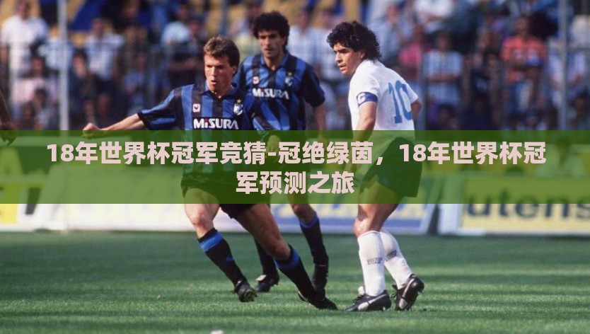 18年世界杯冠军竞猜-冠绝绿茵，18年世界杯冠军预测之旅
