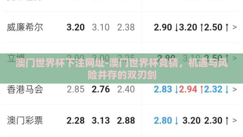 澳门世界杯下注网址-澳门世界杯竞猜，机遇与风险并存的双刃剑