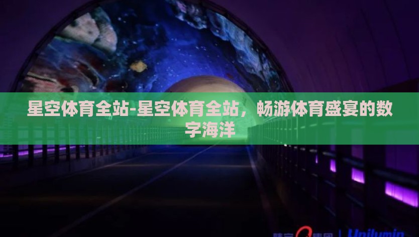 星空体育全站-星空体育全站，畅游体育盛宴的数字海洋