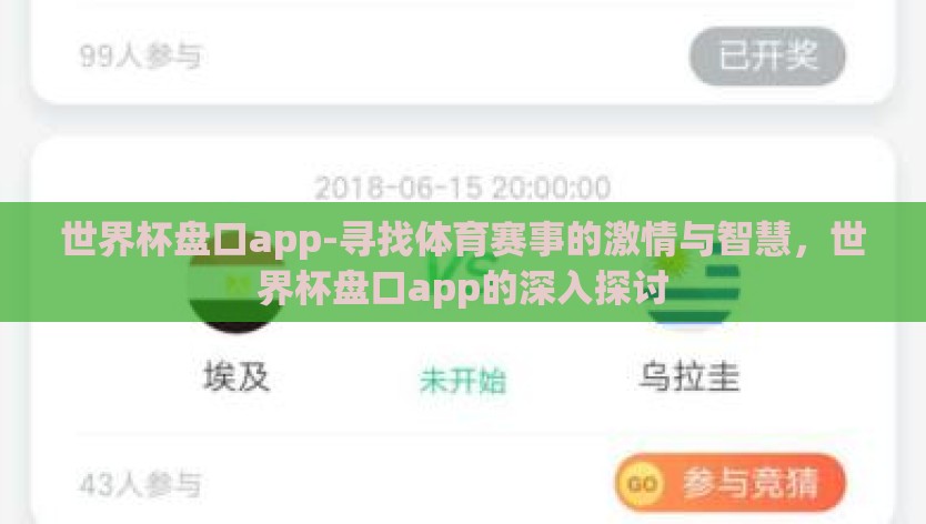 世界杯盘口app-寻找体育赛事的激情与智慧，世界杯盘口app的深入探讨