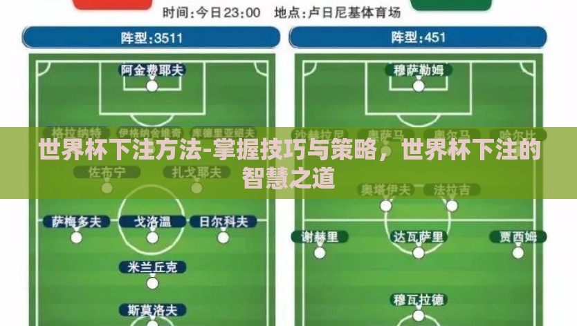 世界杯下注方法-掌握技巧与策略，世界杯下注的智慧之道