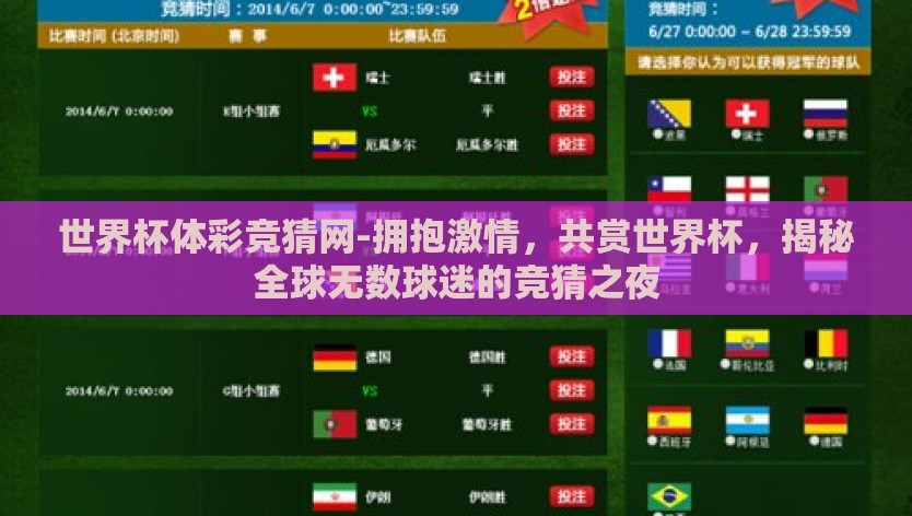 世界杯体彩竞猜网-拥抱激情，共赏世界杯，揭秘全球无数球迷的竞猜之夜