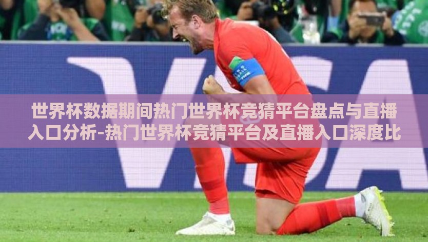 世界杯数据期间热门世界杯竞猜平台盘点与直播入口分析-热门世界杯竞猜平台及直播入口深度比较与展望