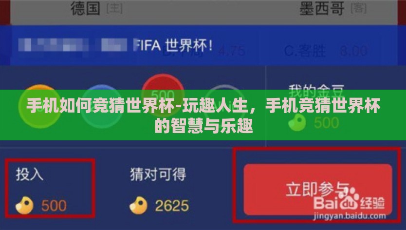 手机如何竞猜世界杯-玩趣人生，手机竞猜世界杯的智慧与乐趣