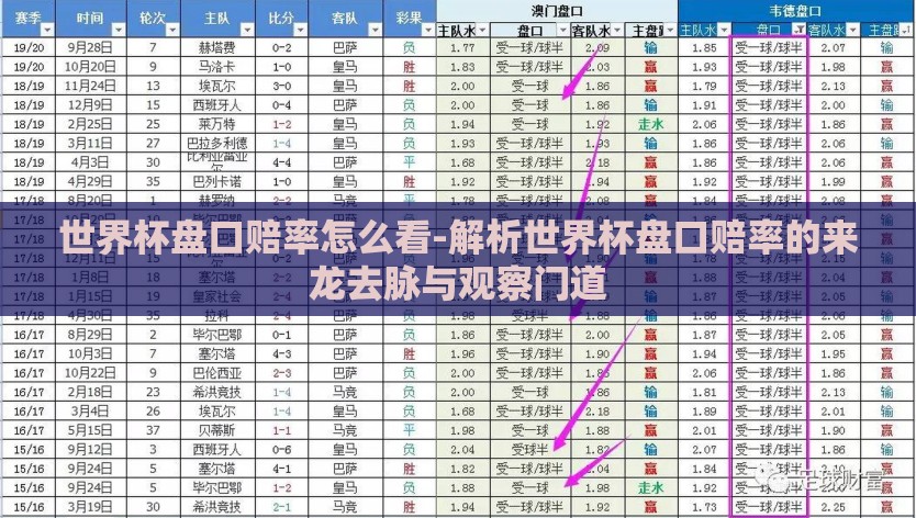 世界杯盘口赔率怎么看-解析世界杯盘口赔率的来龙去脉与观察门道