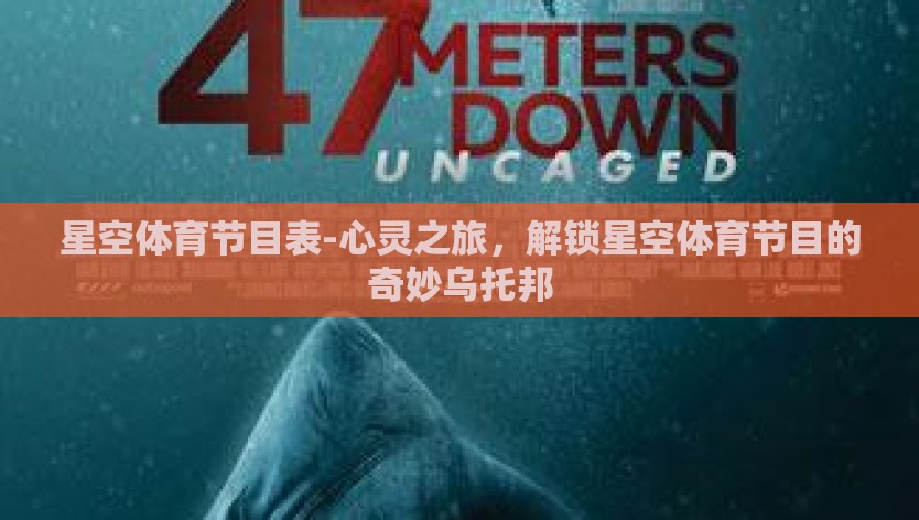 星空体育节目表-心灵之旅，解锁星空体育节目的奇妙乌托邦