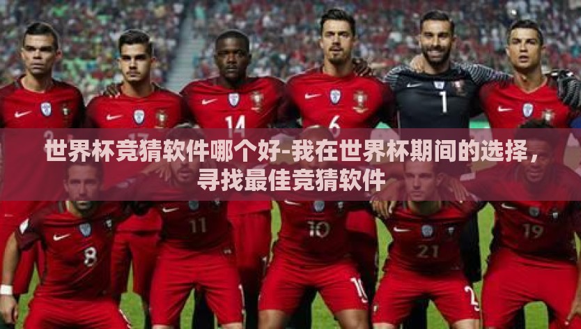世界杯竞猜软件哪个好-我在世界杯期间的选择，寻找最佳竞猜软件