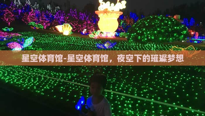 星空体育馆-星空体育馆，夜空下的璀璨梦想