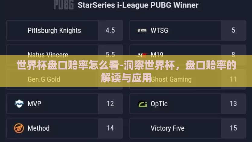 世界杯盘口赔率怎么看-洞察世界杯，盘口赔率的解读与应用